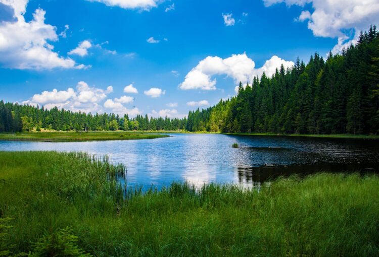 Oxygen Levels and Common Water Quality Issues