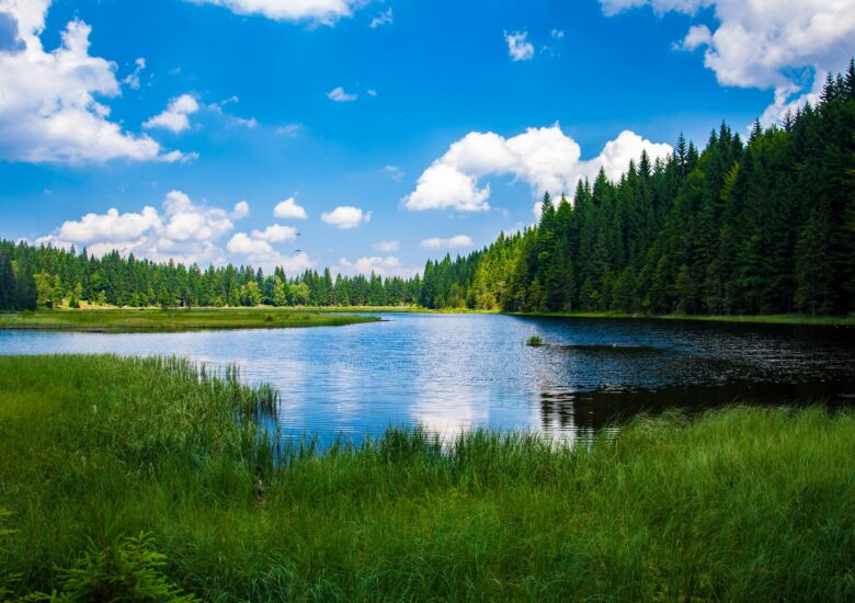 Oxygen Levels and Common Water Quality Issues